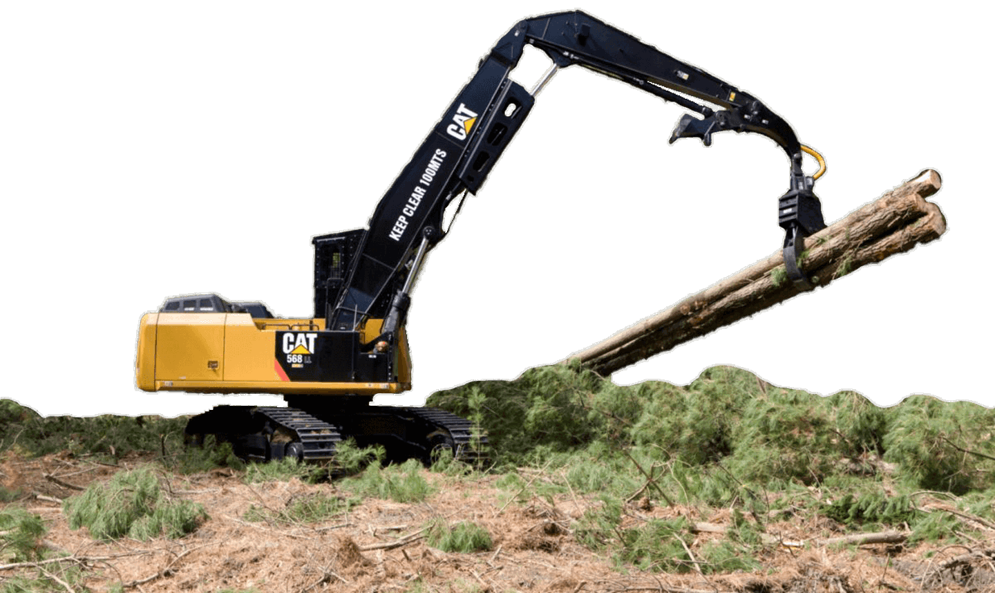 Increased productivity on the forest floor