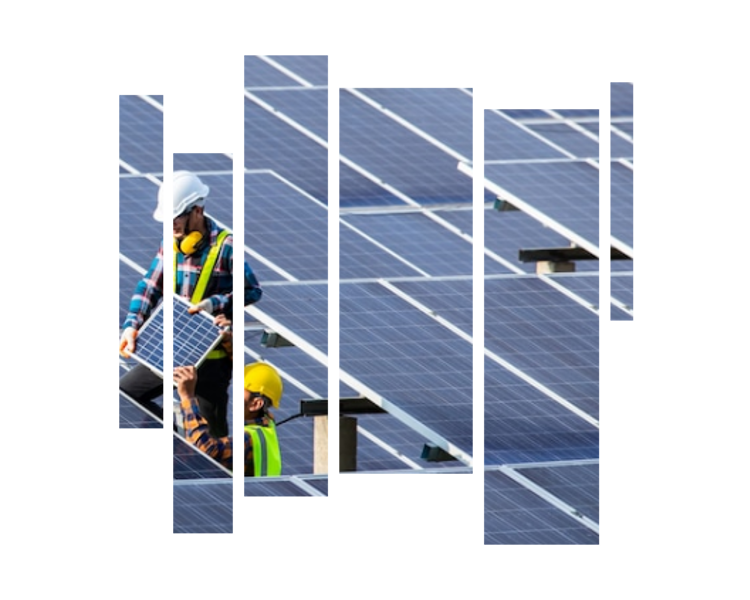 NEED GUIDANCE ON RENEWABLE ENERGY?