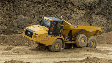 Cat Detect With Stability Assist