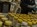 Making incremental savings to maximise returns 